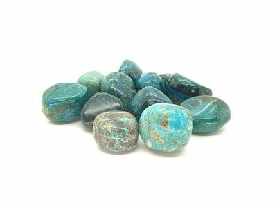 Chrysocolle