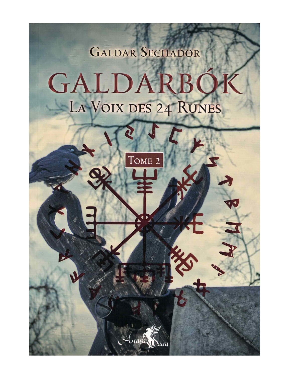 Galdarbok la voix des 24 runes Tome 2