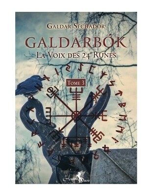 Galdarbok la voix des 24 runes Tome 3