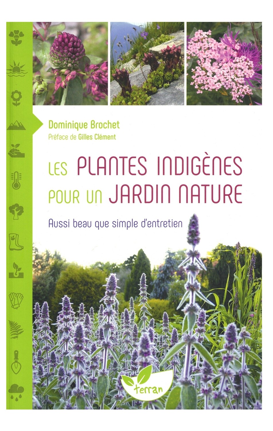 Les plantes indigènes pour un jardin nature