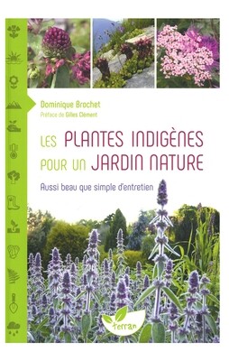 Les plantes indigènes pour un jardin nature