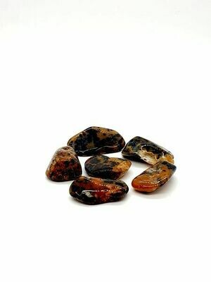 Agate Cheetah