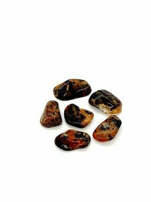 Agate Cheetah