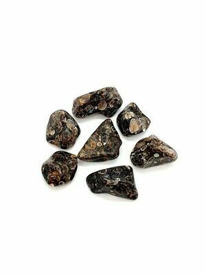 Agate Turitelle