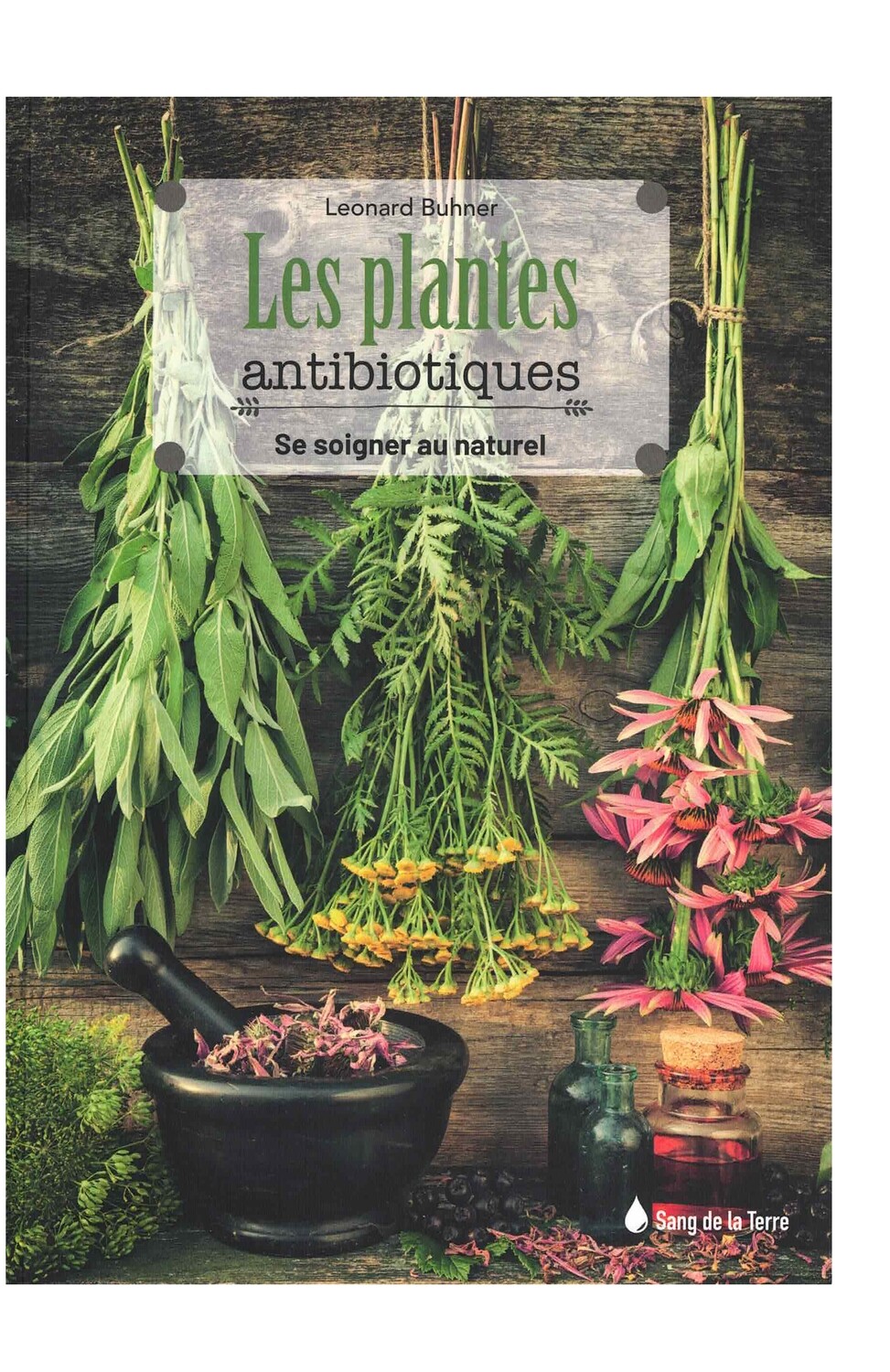 Les plantes antibiotiques se soigner au naturel