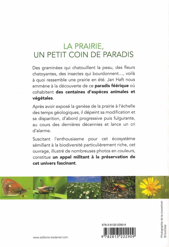 Au coeur de la prairie