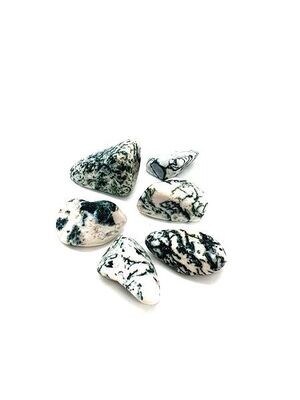 Agate Arbre