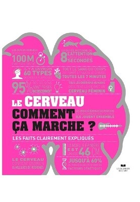 Le cerveau comment ça marche ?