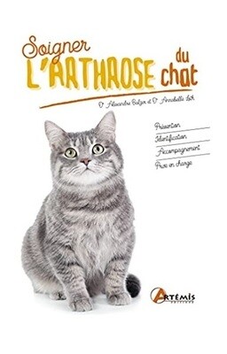 Soigner l&#39;arthrose du chat