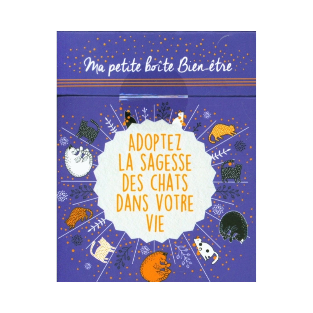 Adoptez la sagesse des chats dans votre vie