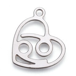Pendentif acier inoxydable signe cancer