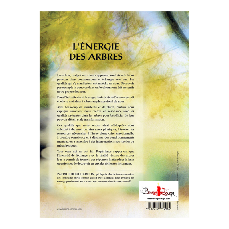L'énergie des arbres