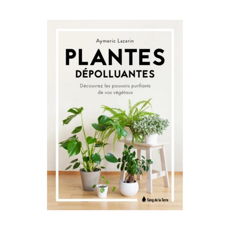 Plantes dépolluantes