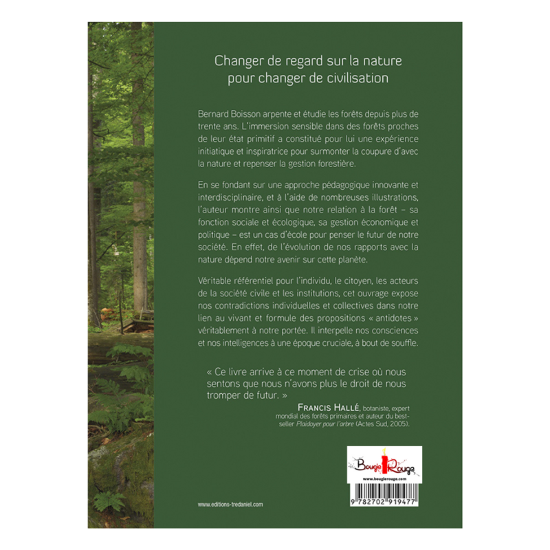 La forêt est l'avenir de l'homme