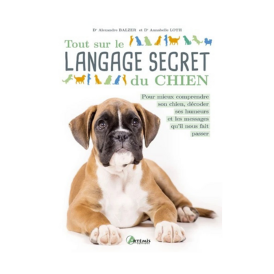 Tout sur le langage secret du chien