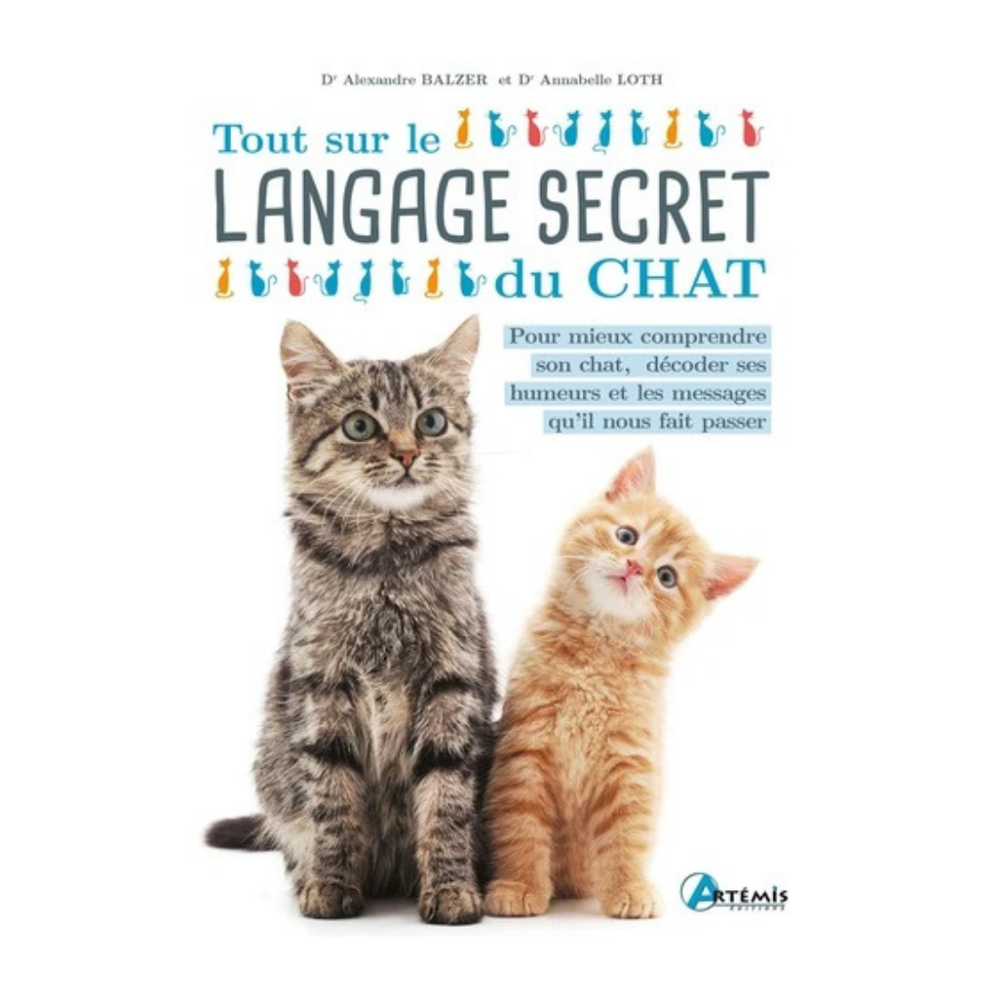 Tout sur le langage secret du chat