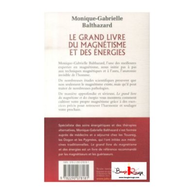 Le grand livre du magnétisme et des énergies
