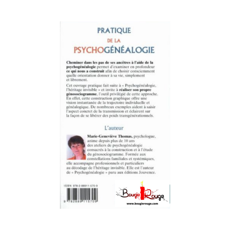 Pratique de la psychogénéalogie