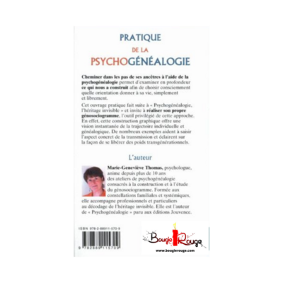 Pratique de la psychogénéalogie