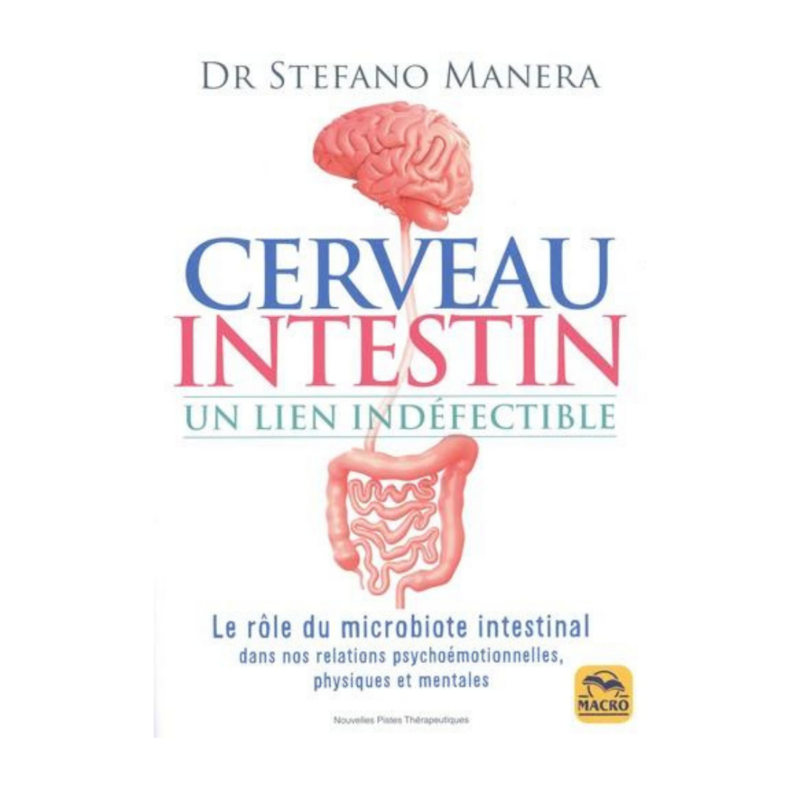Cerveau - Intestin