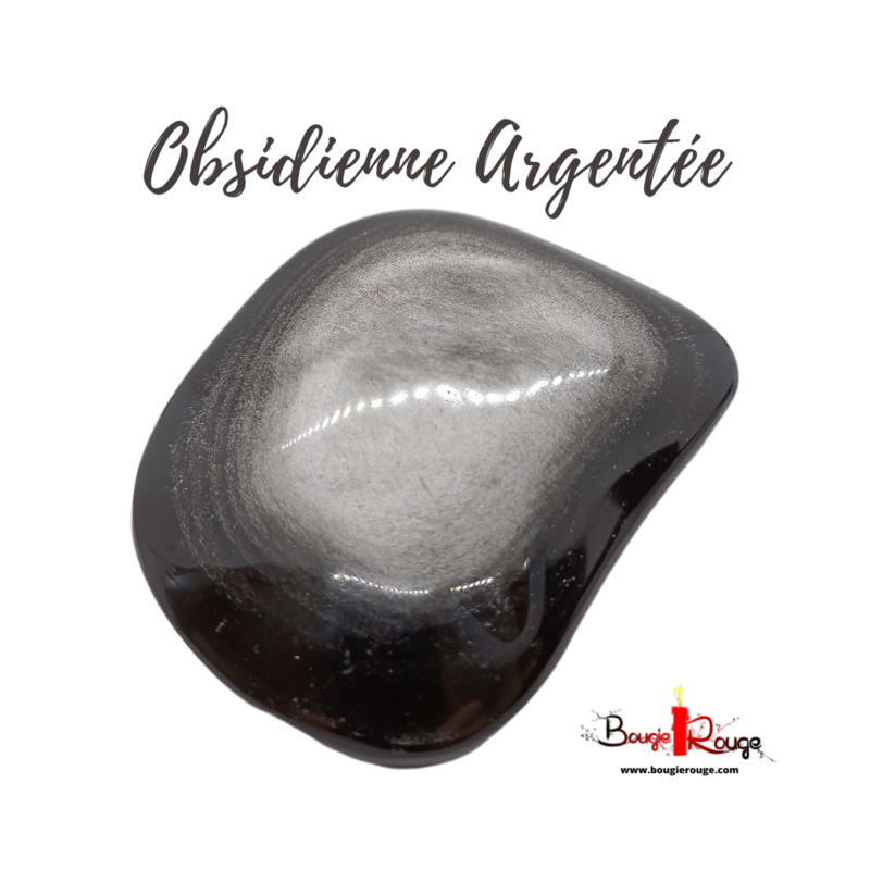 Grand Galet d&#39;Obsidienne argentée