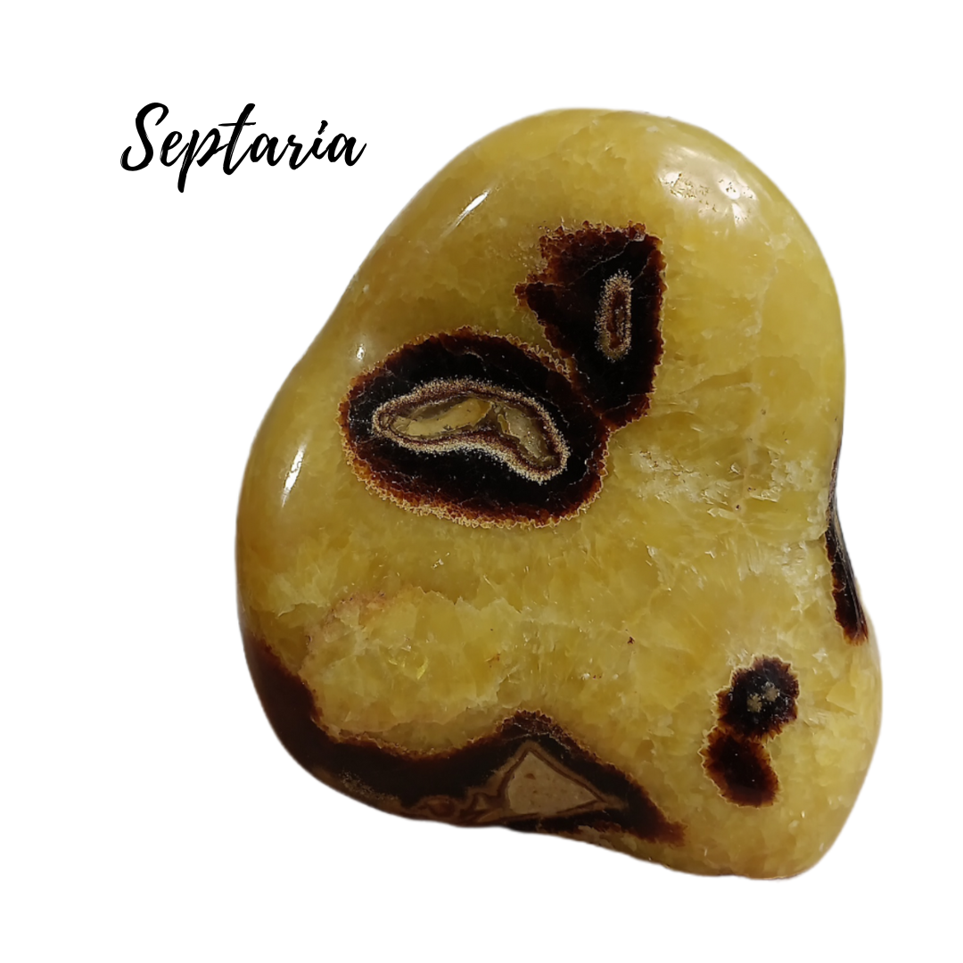 Septaria - 1910 gr