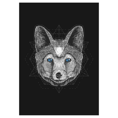 Poster plastifié - Renard yeux bleus