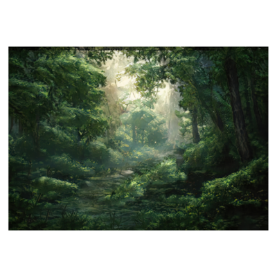 Poster plastifié - forêt profonde