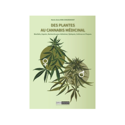 Des plantes au cannabis médicinal
