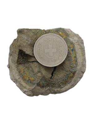 Pyrite arc-en-ciel - 240 gr
