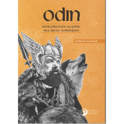 Odin - introduction au père des dieux nordiques