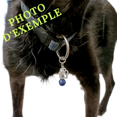 Médaille pour animal - Angel aura, Labradorite, Pierre de lave et pendentif patoune