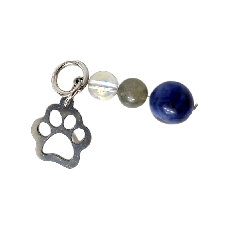 Médaille pour animal - Sodalite, Labradorite, Angel aura et pendentif patoune