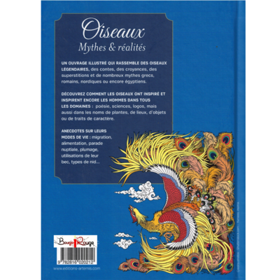 Oiseaux : Mythes et réalités