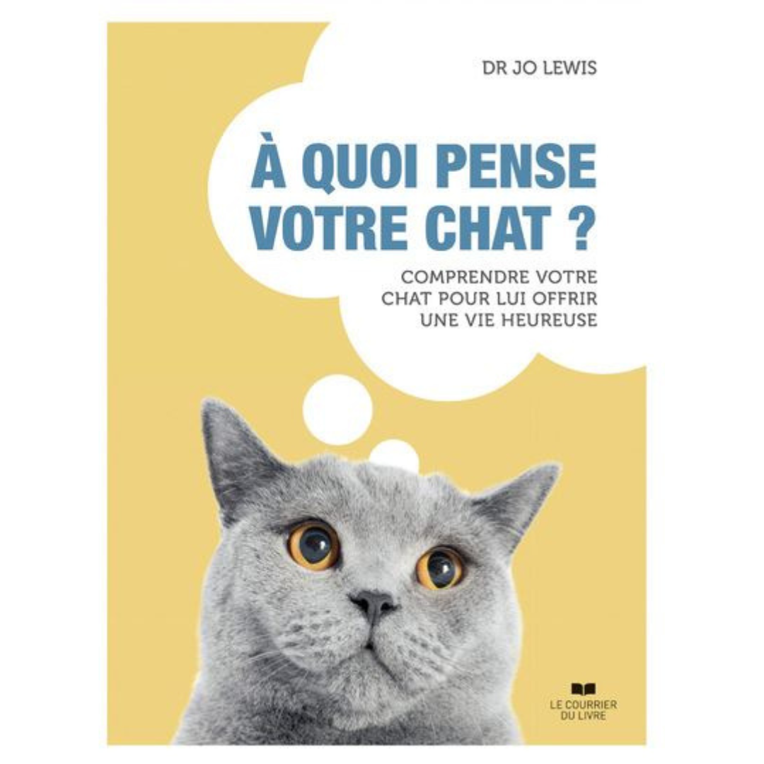 À quoi pense votre chat?