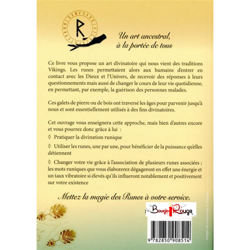 Le Pouvoir des Runes et des Mots runiques