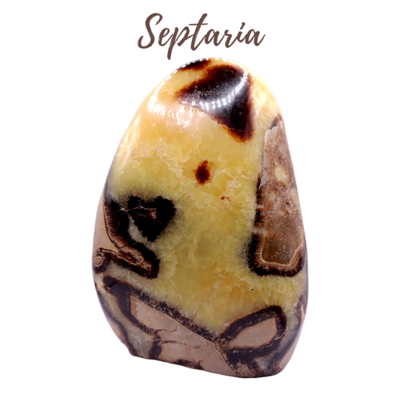 Monolithe de Septaria - 2007gr