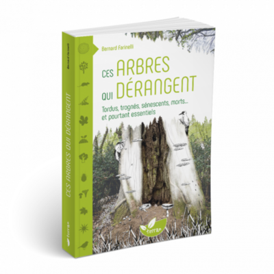 Ces arbres qui dérangent