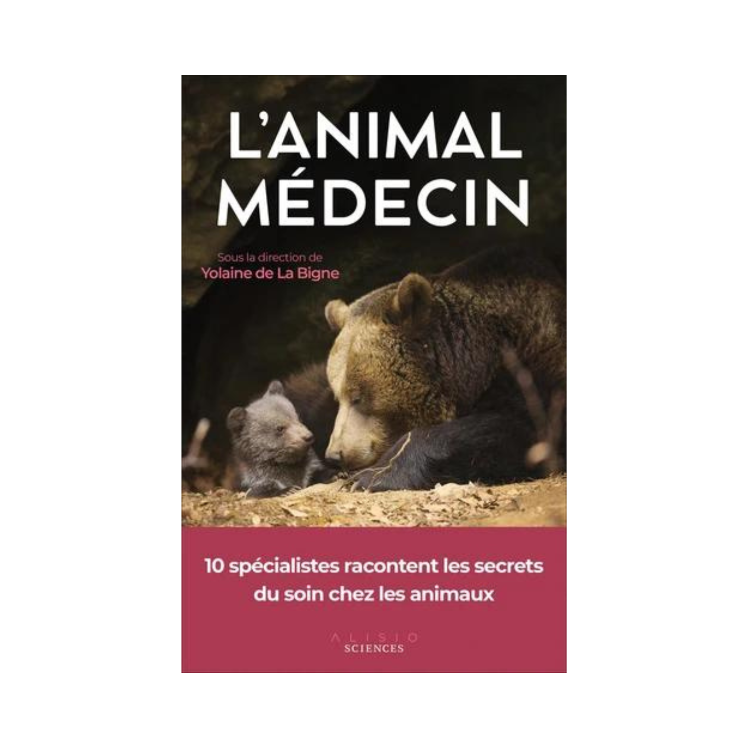L&#39;animal médecin