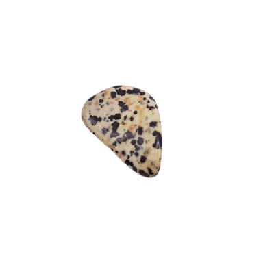 Jaspe Dalmatien