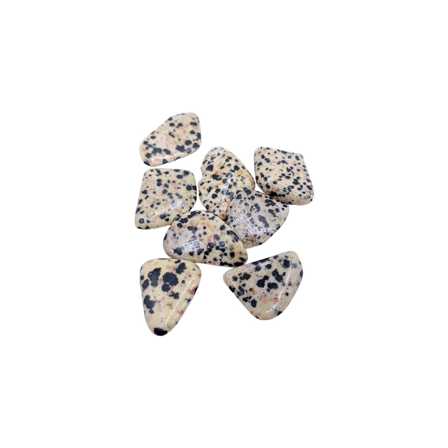Jaspe Dalmatien