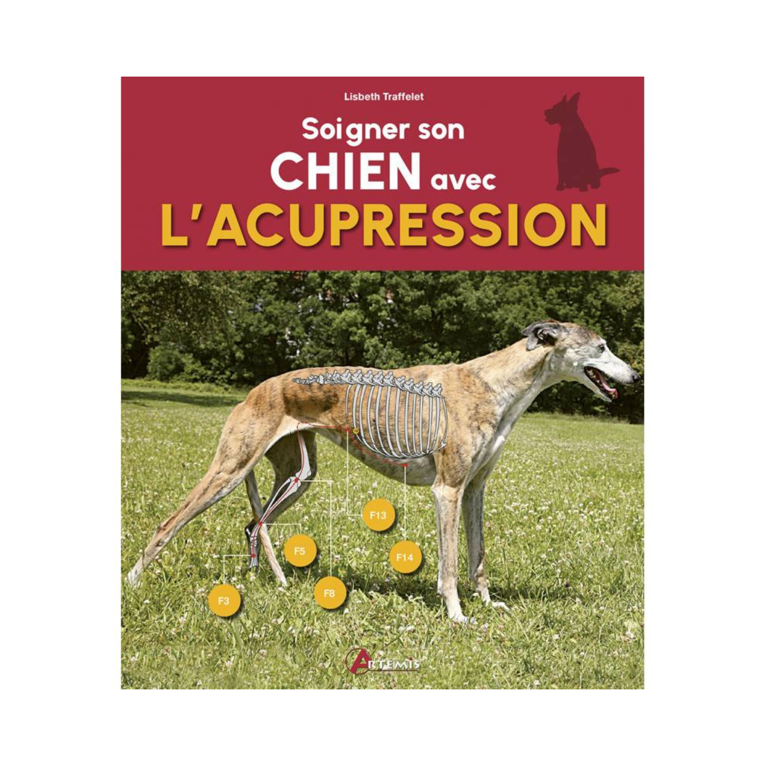Soigner son chien avec l&#39;acupression