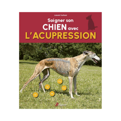 Soigner son chien avec l&#39;acupression