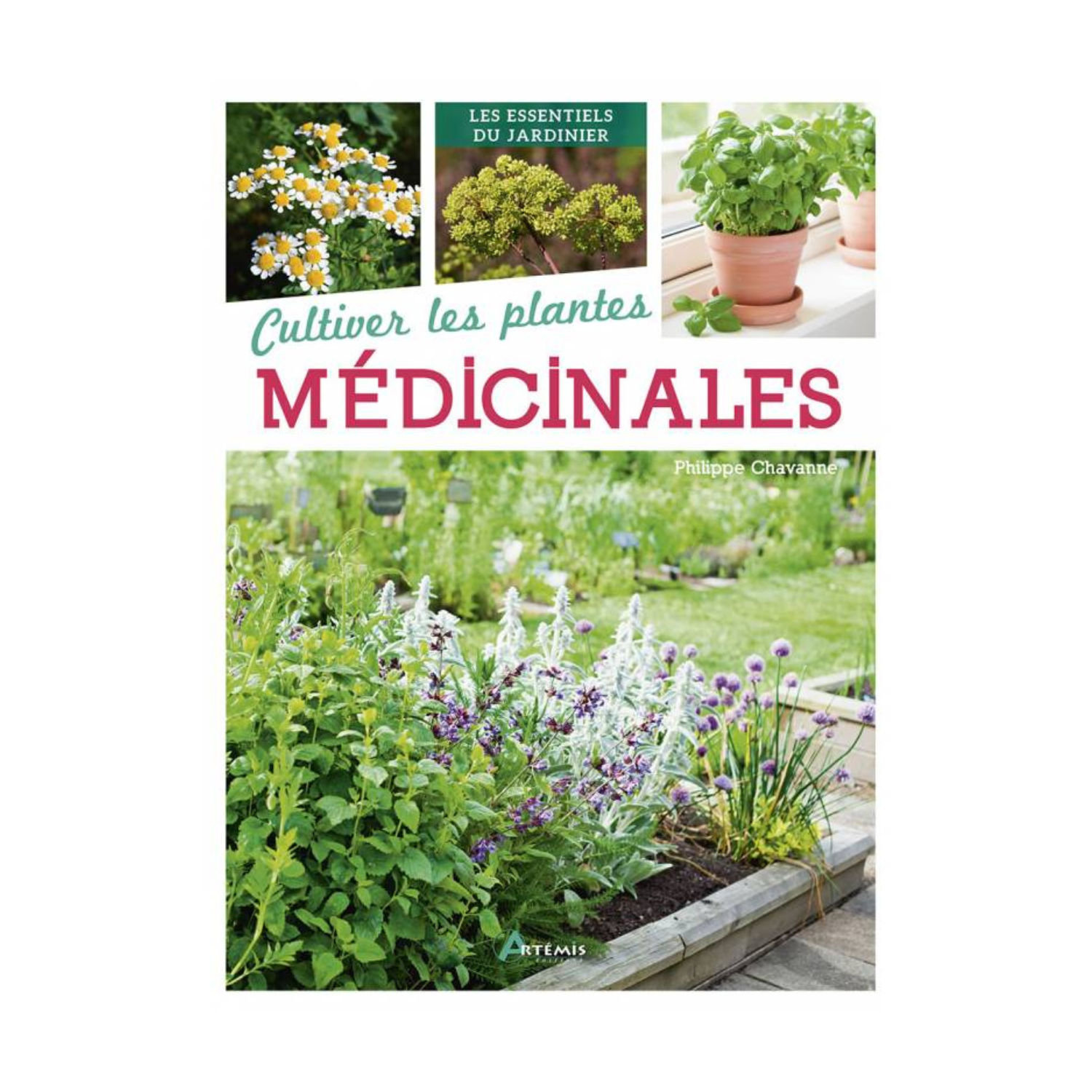 Cultiver les plantes médicinales