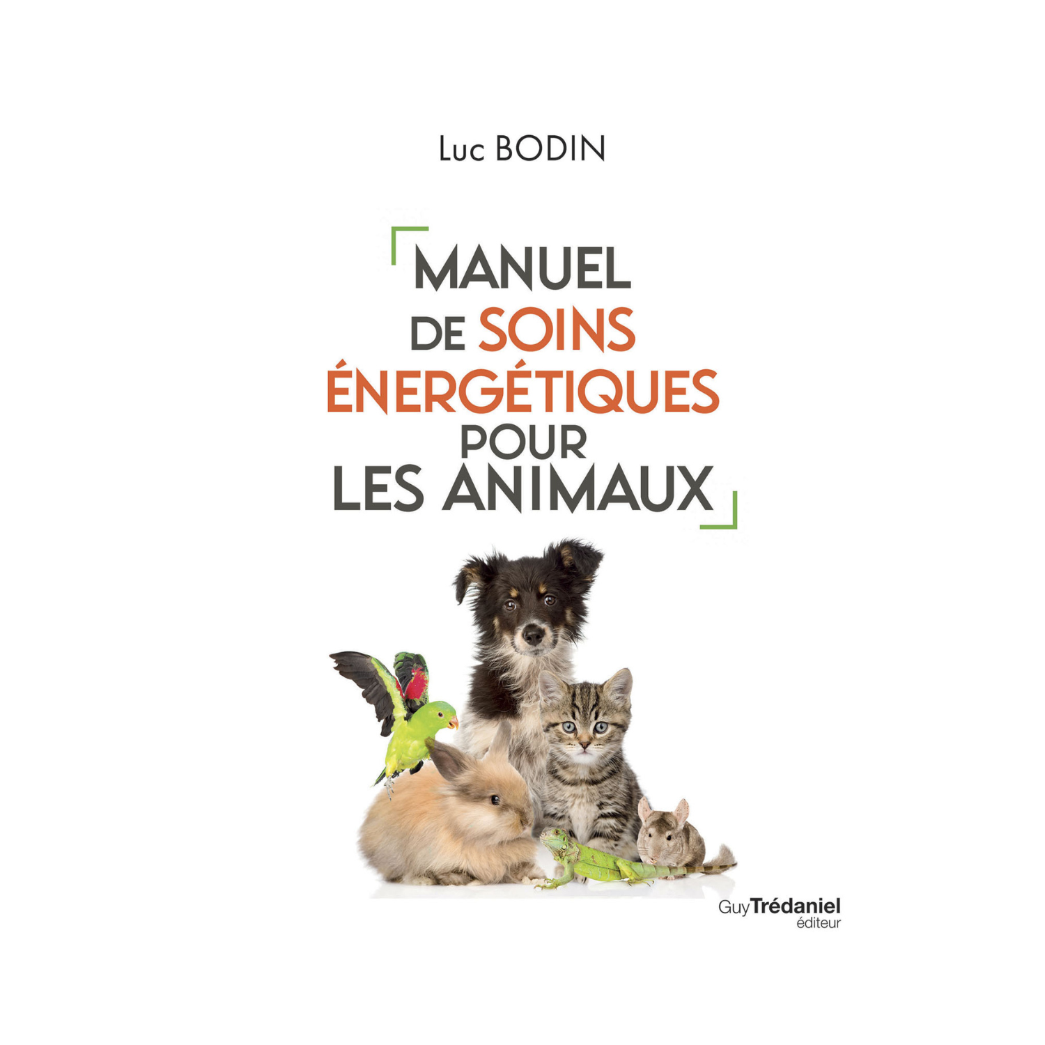 Manuel de soins énergétiques pour les animaux