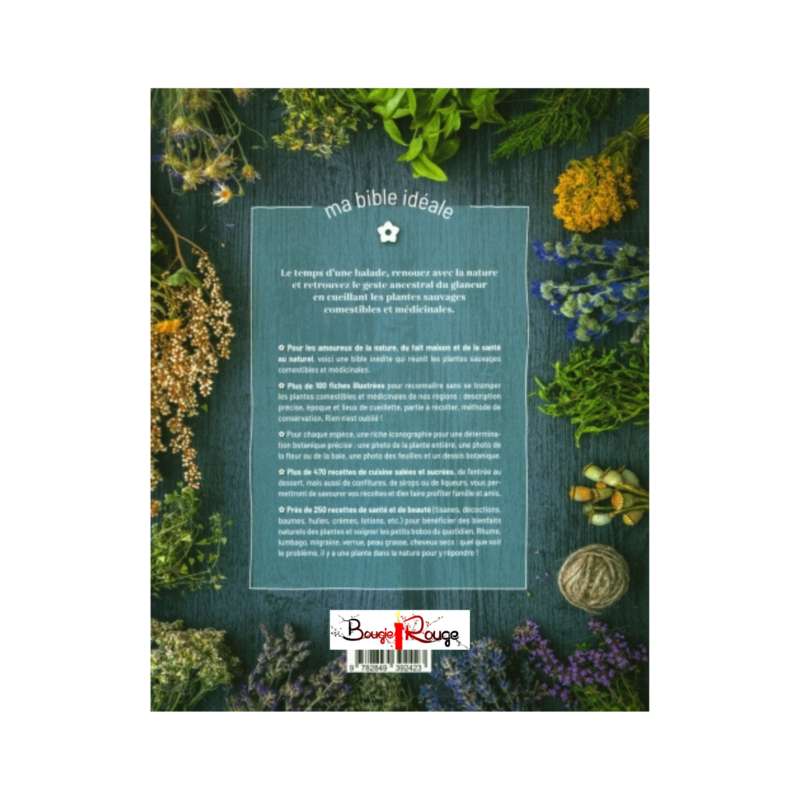 Plantes sauvages comestibles &amp; médicinales