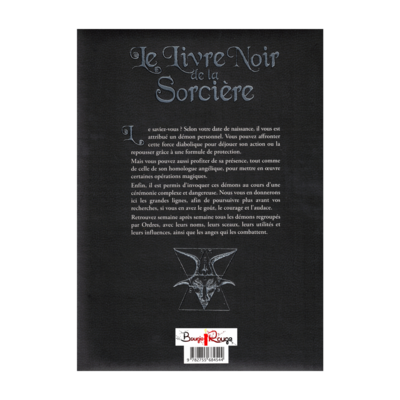 Le livre noir de la sorcière