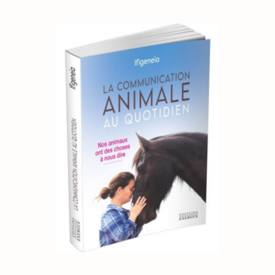 La communication animale au quotidien