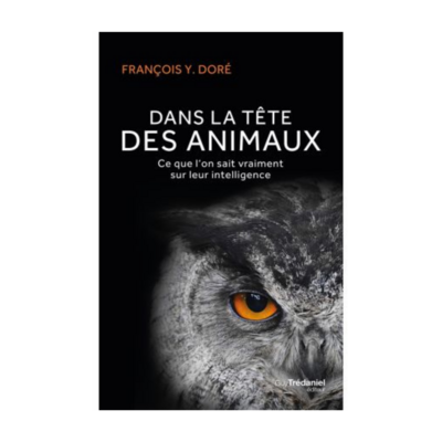 Dans la tête des animaux