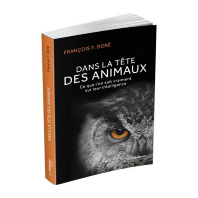 Dans la tête des animaux